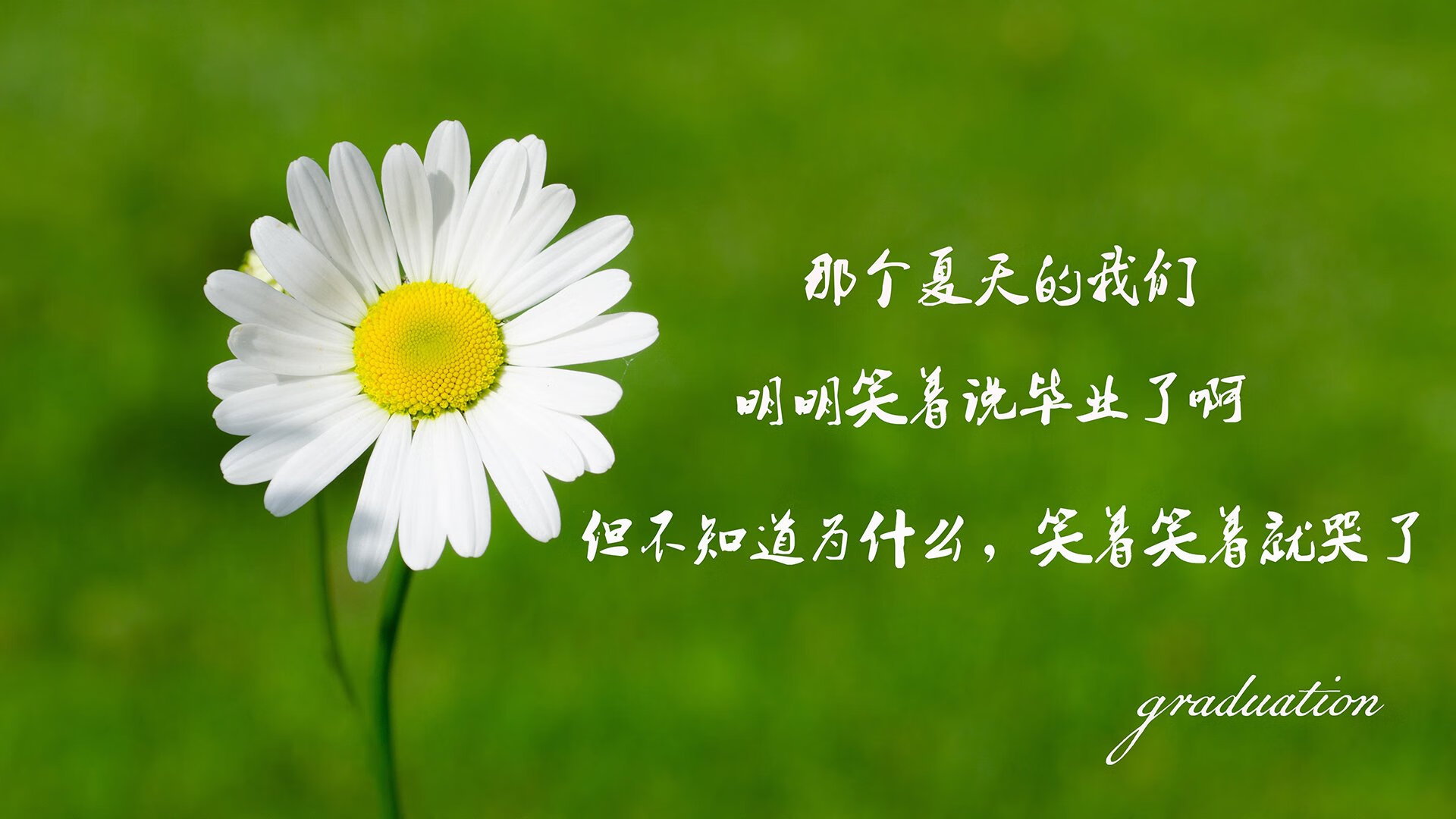 【名将传记】马克·塞尔比的逆境奋斗历程，马克塞尔比照片