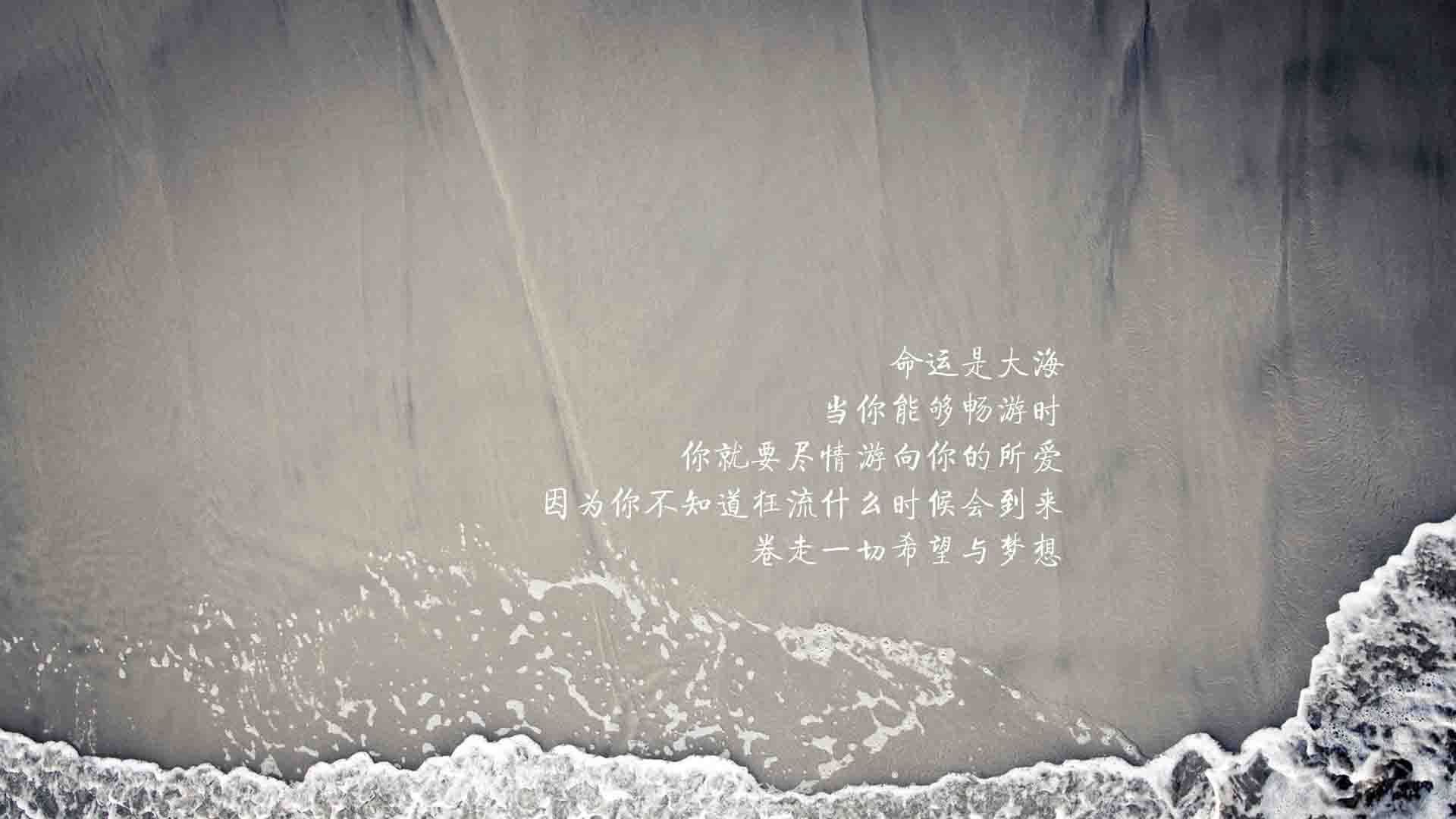 伊朗男足在巴黎奥运会上获得银牌，创历史，伊朗男足名单