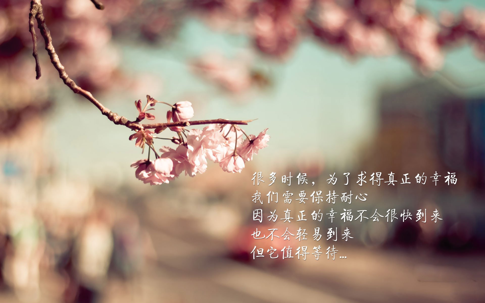 赛场多面手：李明攻防两端表现都极为出色！，李明比赛视频