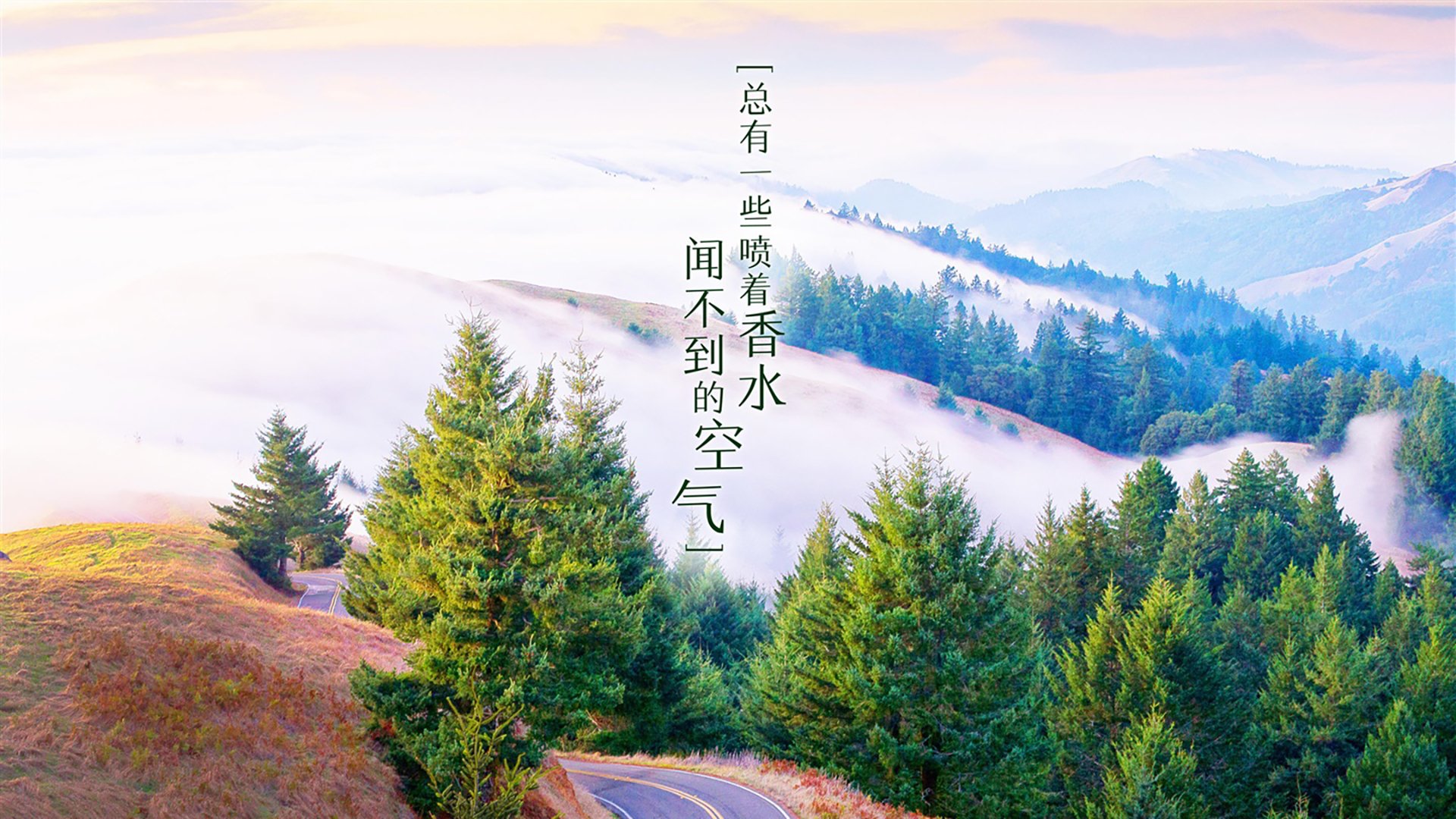 篮球场光影：全球巅峰对决如火如荼，nba球场全景