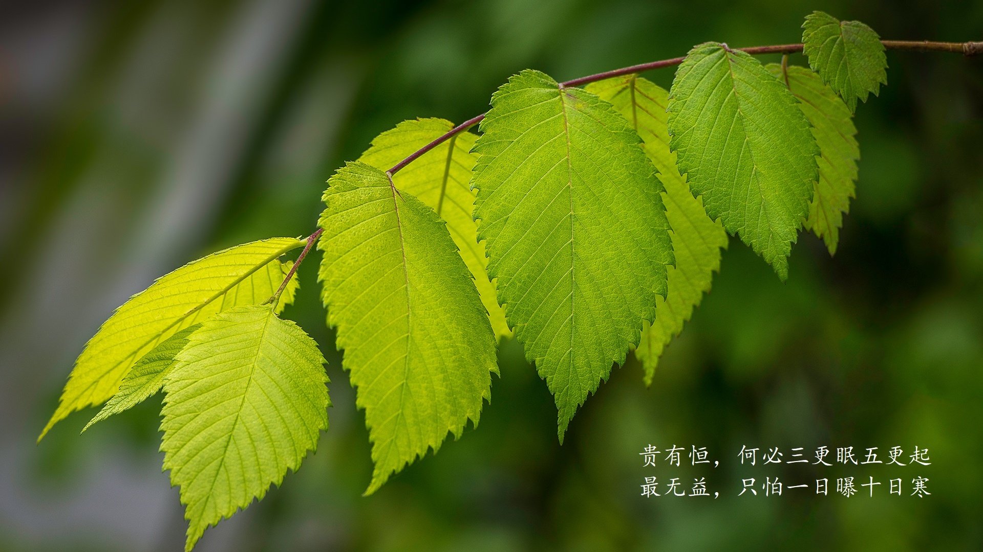 篮球运动员训练负荷个体差异化管理及方案设计，篮球运动负荷设计教案