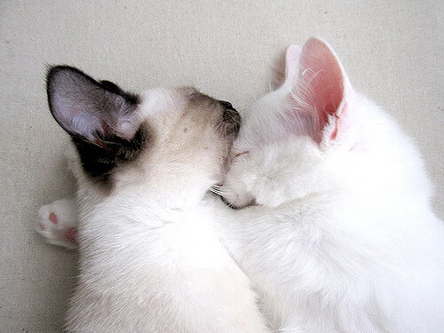 全运会场馆建设高标准完成，全运会场馆设置