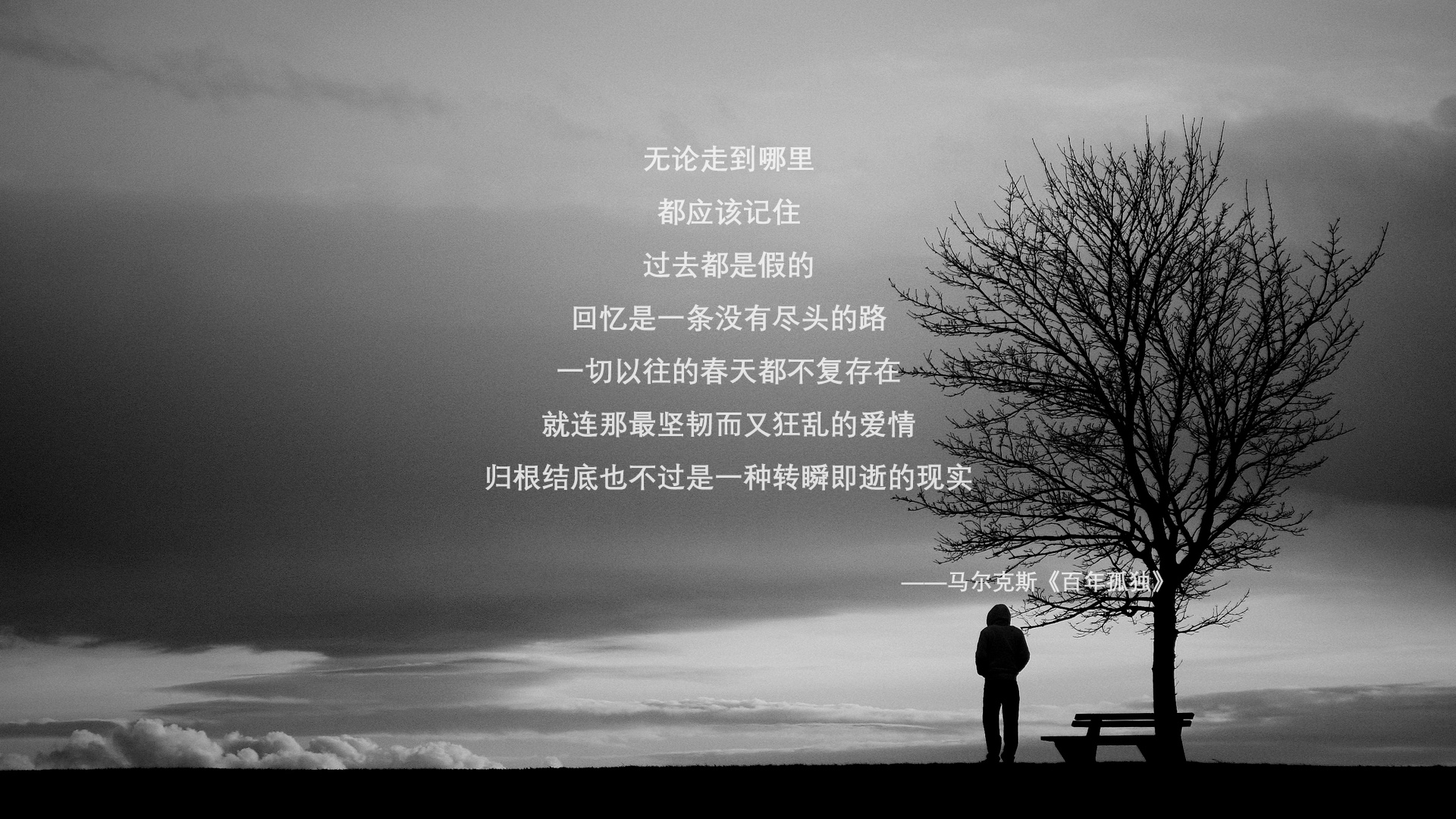 校园联赛选秀机制启动优秀球员将直接晋级职业梯队，高校联赛赛制