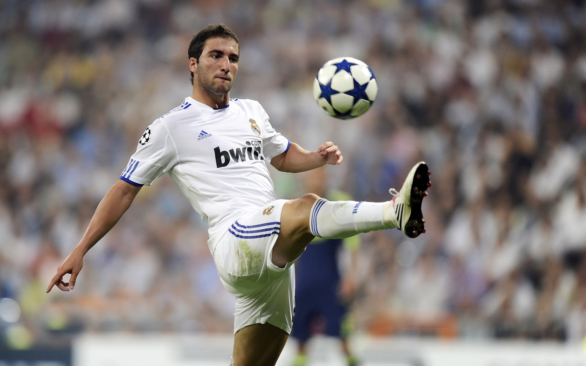 德国骑手多米安·米歇尔斯在2024年巴黎奥运会盛装舞步比赛中获得第六名，展现坚韧精神。